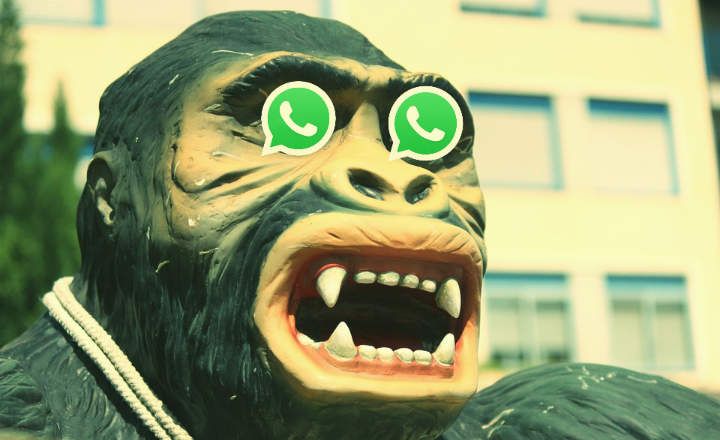 Jaunā krāpniecība vietnē WhatsApp: viltus direktora ziņojums