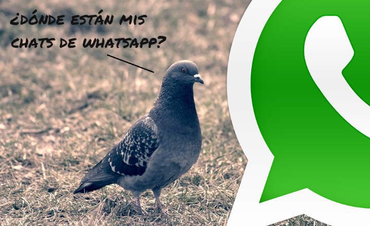 Kaip atkurti „WhatsApp“ pokalbius „Android“.